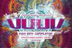 Beat Herren - Destiny by Music is the Universe on vuuv comp