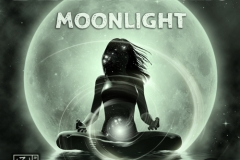 beat-herren-moonlight-cover