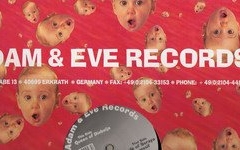 fantasy dream vinyl cover the fairytale